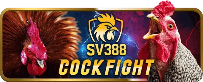 Ưu Đãi Thành Viên Mới MM88L